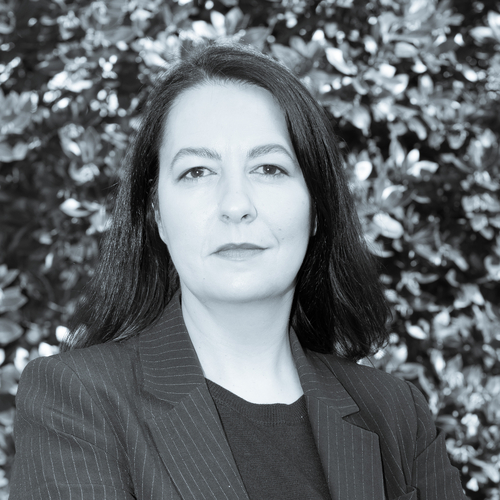 Avocat, droit du travail, droit administratif, droit de la famille